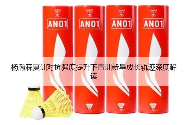 杨瀚森夏训对抗强度提升下青训新星成长轨迹深度解读